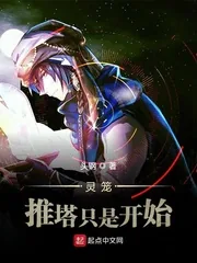 《灵笼：推塔只是开始》小说封面