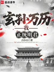 《玄孙万历，我，正统明君》小说封面