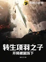 《转生项羽之子，开局被困垓下》小说封面