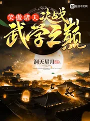 《笑傲诸天:决战武学之巅》小说封面