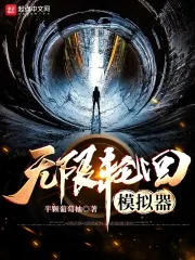《无限轮回模拟器》小说封面