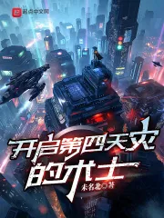 《开启第四天灾的术士》小说封面