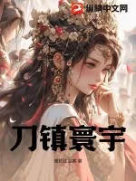 《刀镇寰宇》小说封面