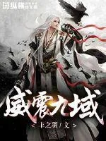 《威震九域》小说封面