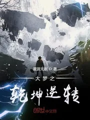 《大梦之乾坤逆转》小说封面
