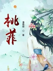 《桃菲》小说封面
