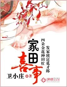 《家田喜事》小说封面