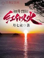 《初升烈阳红似火》小说封面